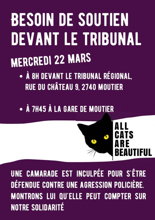 Solidarité avec une jeune camarade victime de violences policières